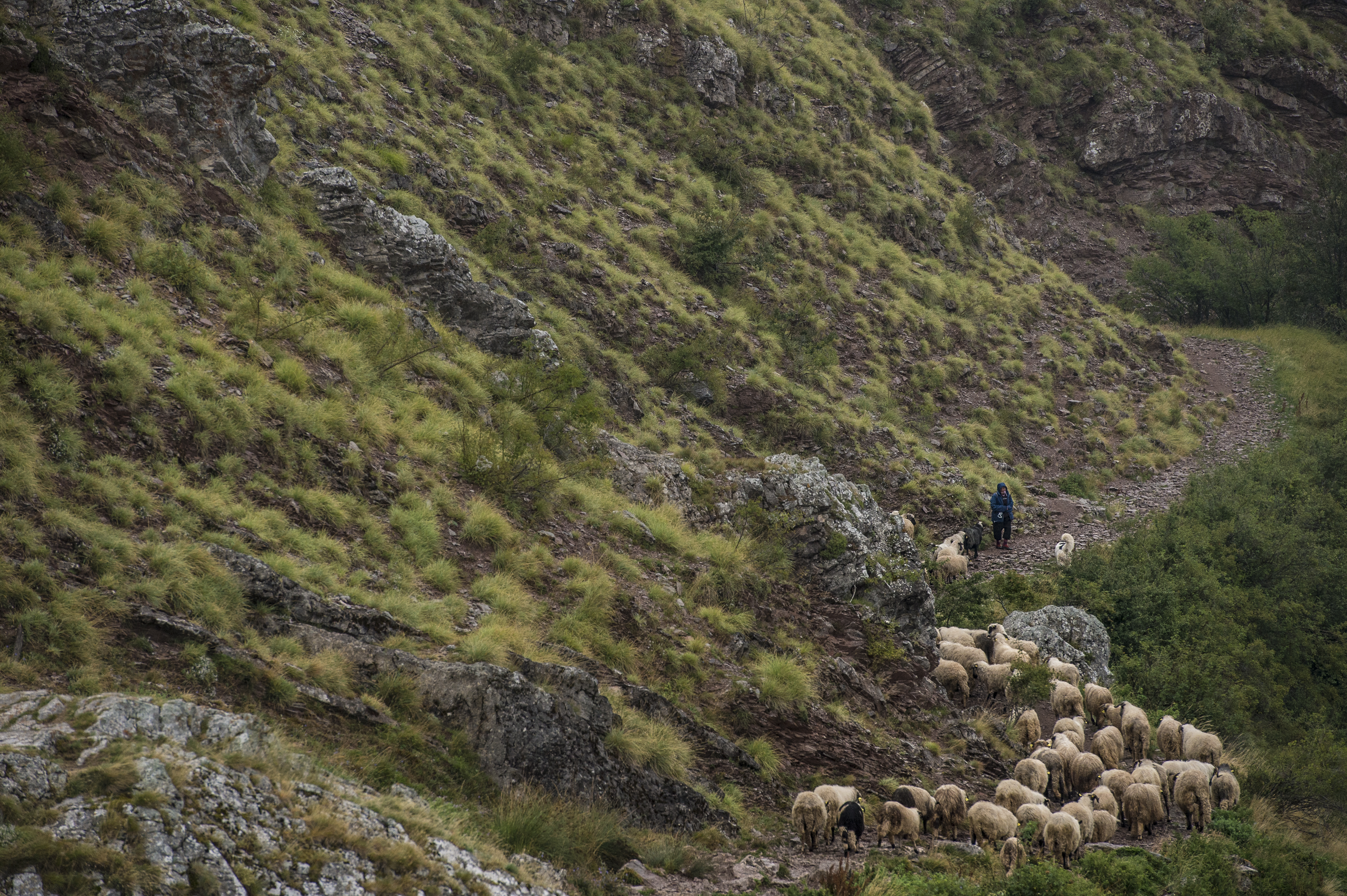 The Highlands' Path: A Sister's Heritage Trail